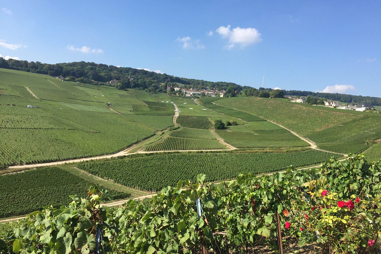 Hautvillers Sparkling Tour