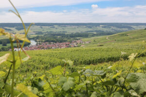 champagne france private tours